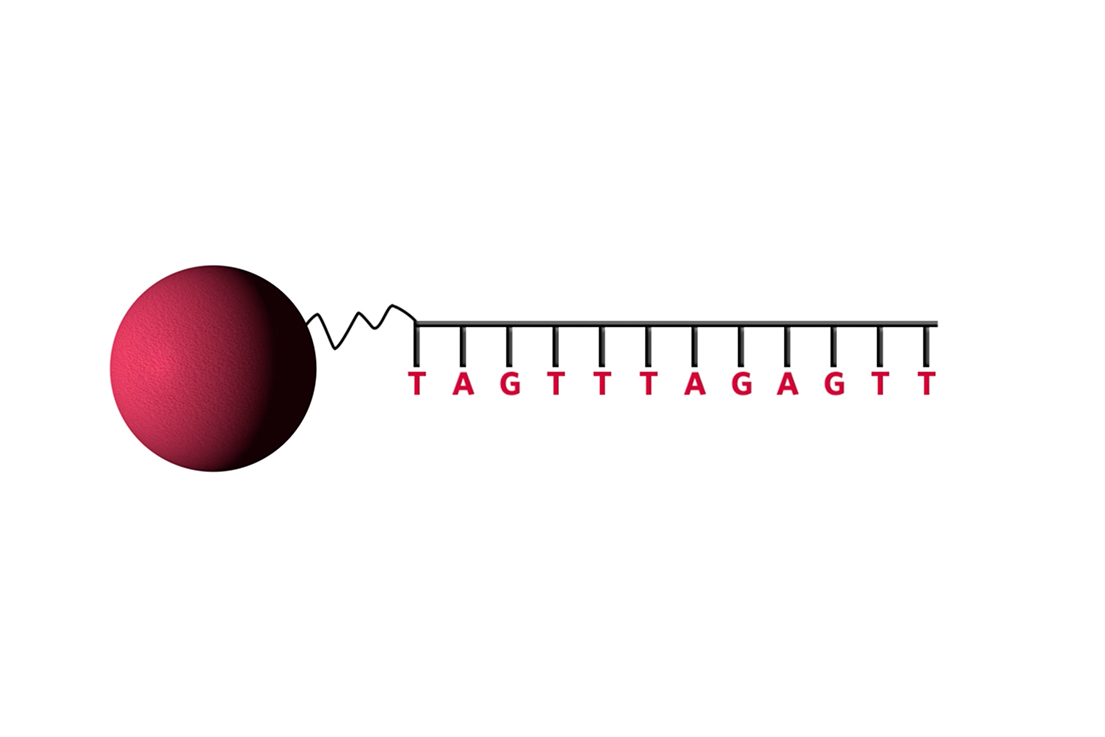xTAG® Nucleic Acid Assay Technology - Diasorin