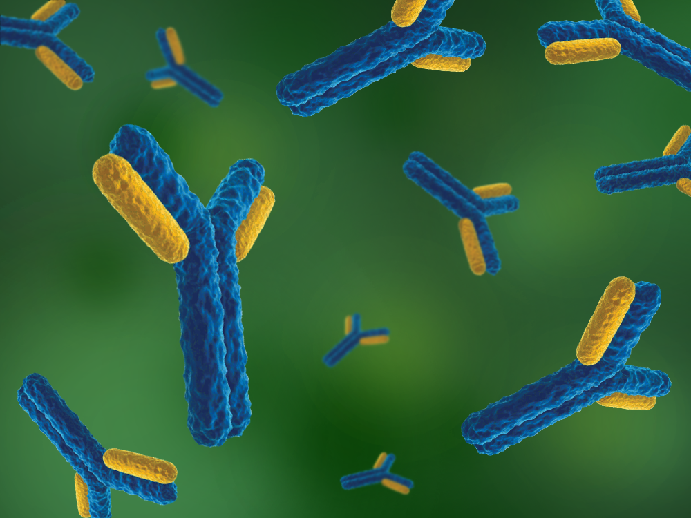 SeroMAP™ Multiplexing Microspheres - Diasorin