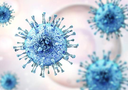 LIAISON® Diasorin Immunodiagnostic Test for the diagnosis of Cytomegalovirus.
