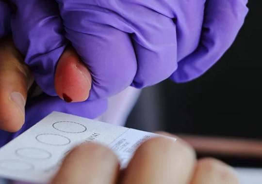 Partner Spotlight: ImmunoProfile®