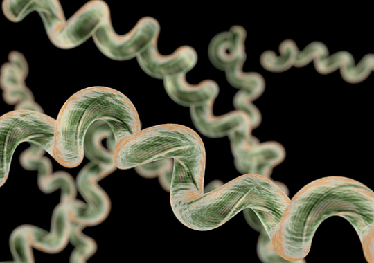 Scientists Choose xMAP® Technology to Identify Exposure to Pathogens That Cause Lyme Disease