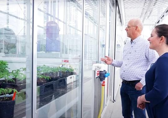 Video: Plant Pathogen Detection Experts Count on xMAP® Technology