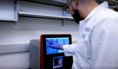 Video Demonstration: Monitoring Immune Response with a Dual-Reporter System