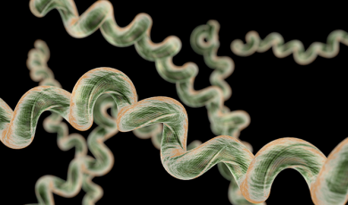 Scientists Choose xMAP® Technology to Identify Exposure to Pathogens That Cause Lyme Disease