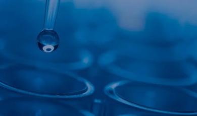 Selecting the Right Plate Magnet for Luminex Assays