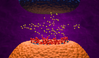 Multiplexing Technology Supports Autoantibody Studies for Immuno‑Oncology Treatment