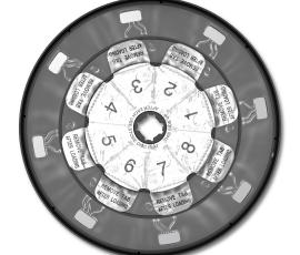 DirectDisc - Molecular