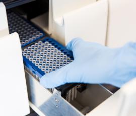 Immuno samples
