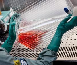 Lab