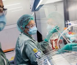 Lab