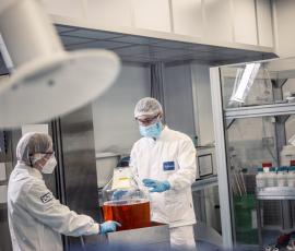 Lab